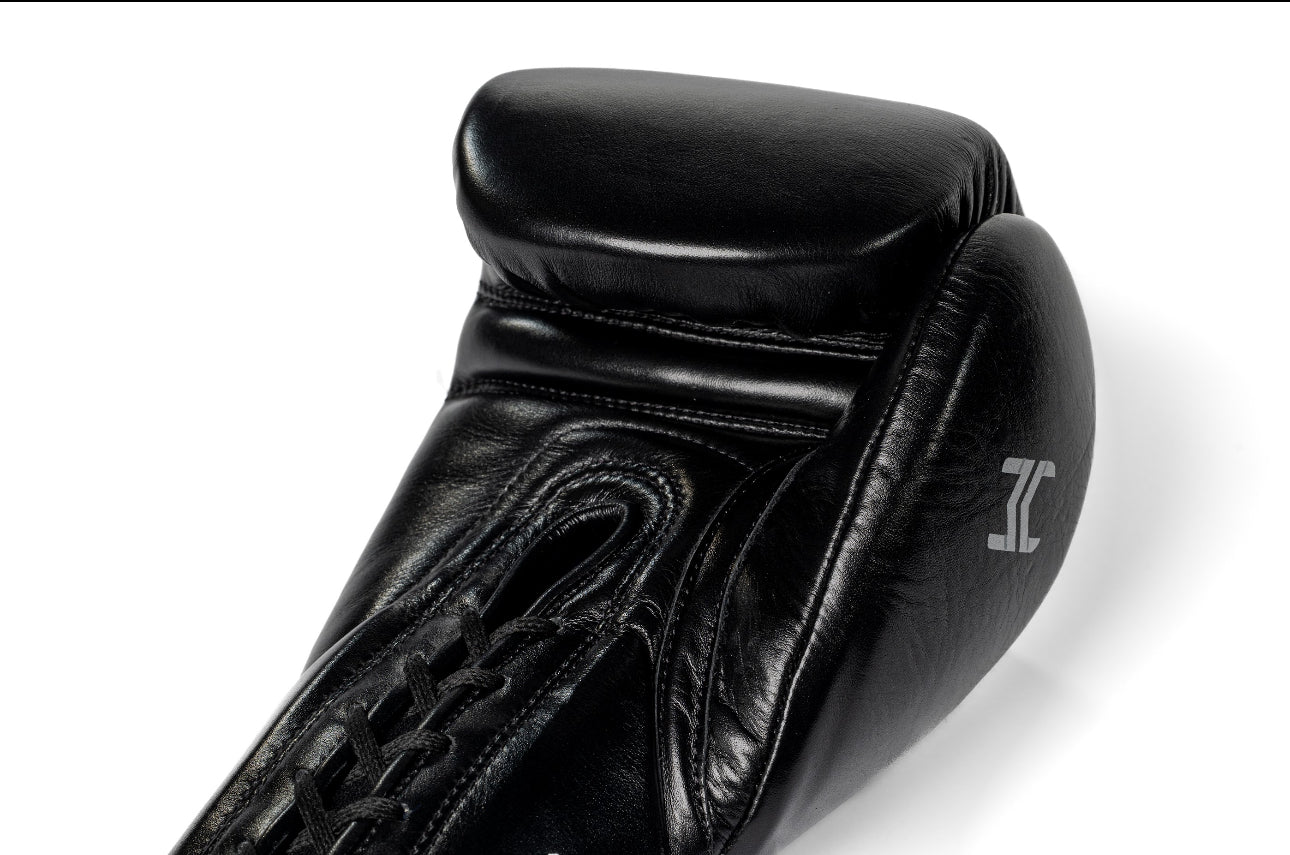 HiT'N'MOVE Horse Hair Boxing Gloves (Hook and Loop)